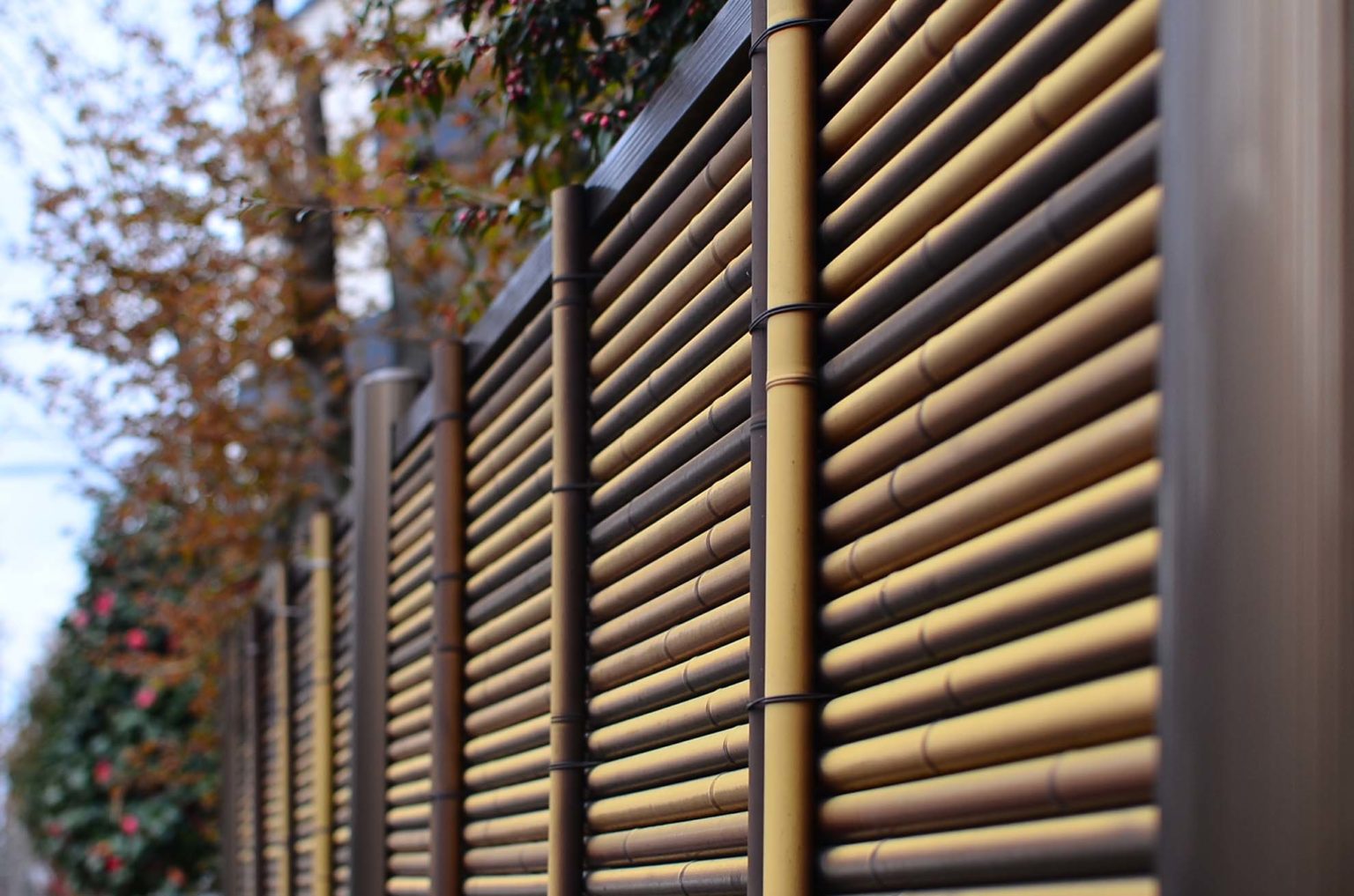 Why You Should Invest in Synthetic Bamboo Fences?