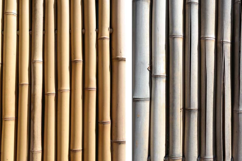 bamboo fence discolor