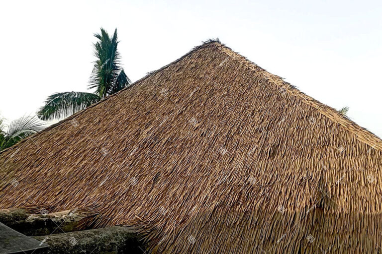 Techos de Piaçava